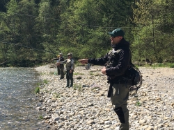 Einsteiger und Aufbau Kurse