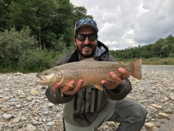 Guiding / Kurs von Erich Brinkhoff