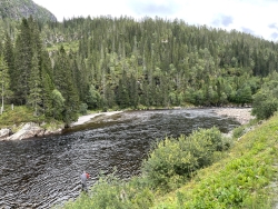 Sanddøla Lachs & Forelle