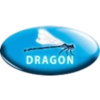 Dragon Flys