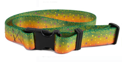 Wingo Wading Belt Watgürtel Brook trout 2022 