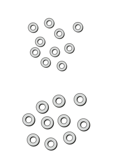 Stonfo Vorfachringe Ringe in 2.5mm Stonfo Vorfachringe Ringe in 2.5mm