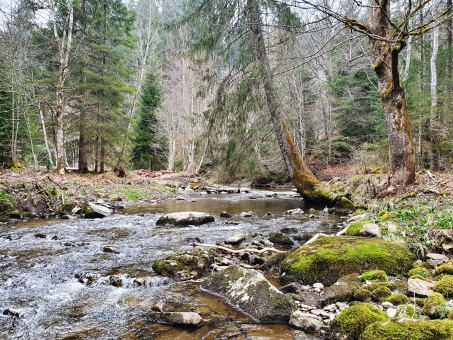 Ach Karten 2025 & 2026 