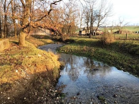 Kinschbach Kombi-Karten 2025 & 2026 Tageskarte 2025 Kombi Ammer